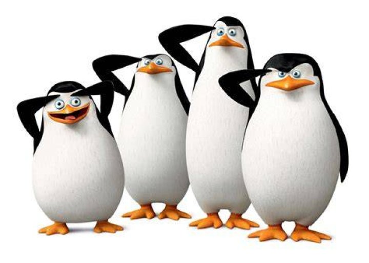 ¿Qué dicen los pingüinos en Madagascar? – Celebrity.fm