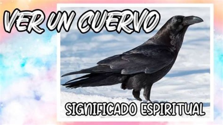 ¿Qué significa ver un cuervo espiritualmente? – Celebrity.fm