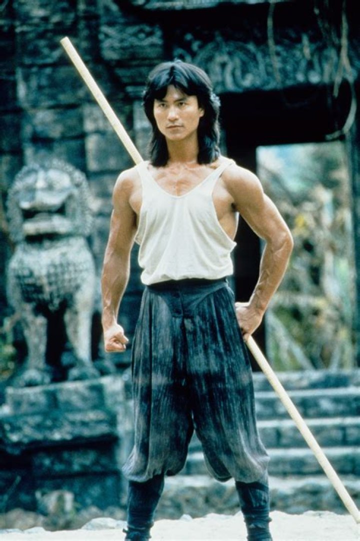 Robin Shou