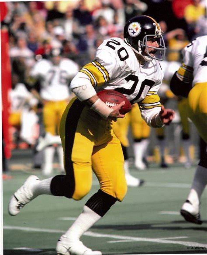 Rocky Bleier (Football Player) - Age, Birthday, Bio, Facts, Family, Net Worth, Height & More