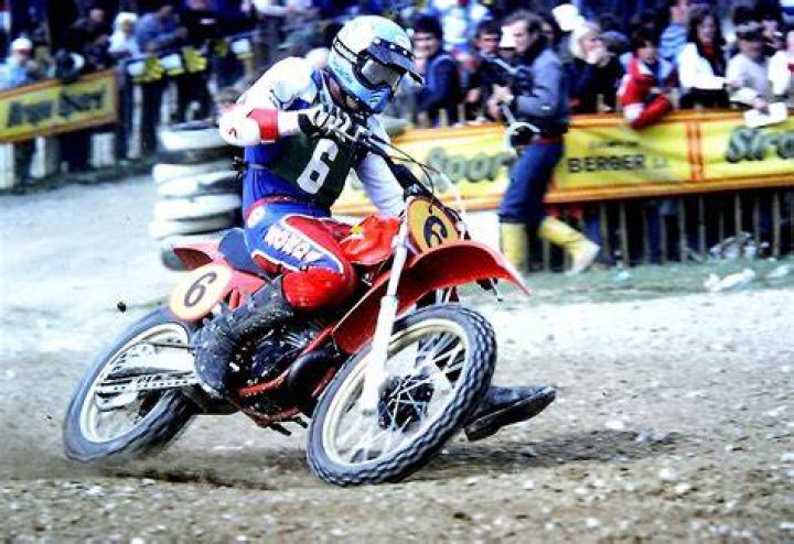 Roger De Coster