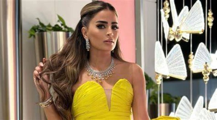 Safa Siddiqui (Reality Star) - Age, Birthday, Bio, Facts, Family, Net Worth, Height & More