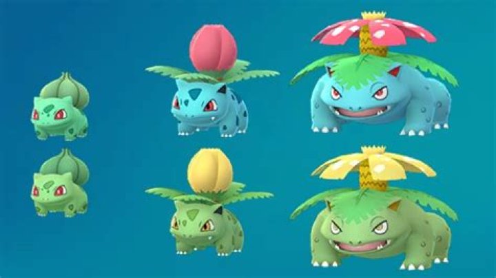 Should I evolve shiny Bulbasaur? – Celebrity.fm – #1 Official Stars, Business & People Network, Wiki, Success story, Biography & Quotes