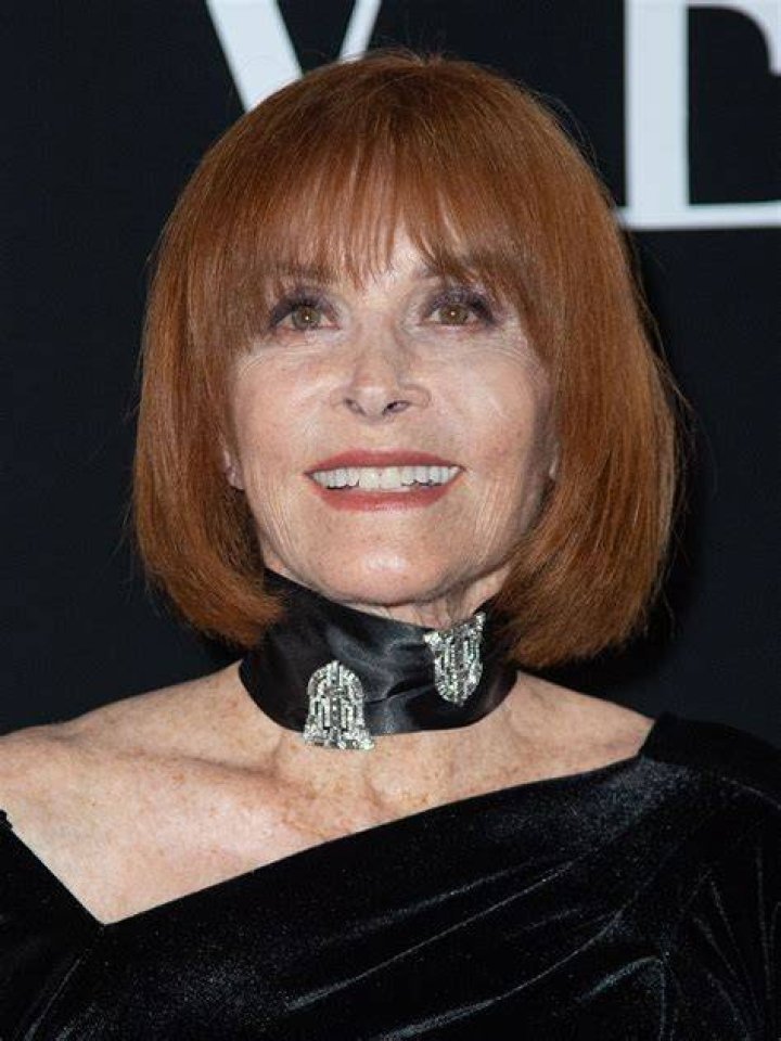 Stefanie Powers (TV Actress) - Age, Birthday, Bio, Facts, Family, Net Worth, Height & More