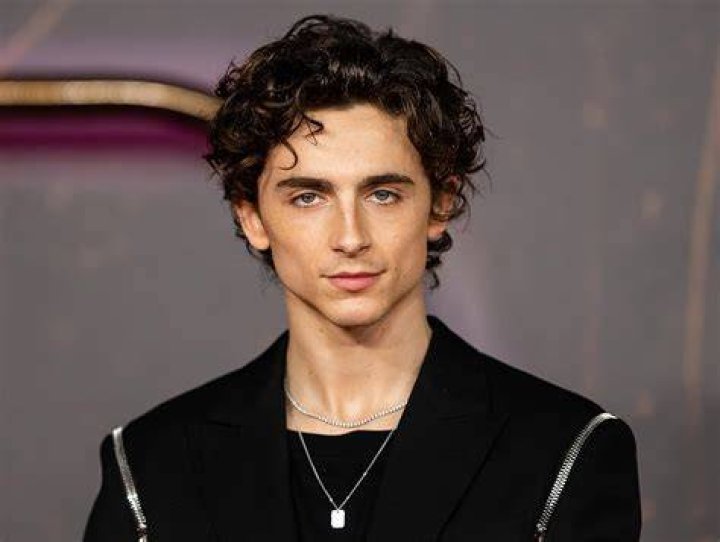 Timothée Chalamet (Actor de Cine) - Edad, cumpleaños, biografía, hechos, familia, patrimonio neto, altura y más