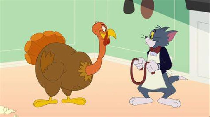 Turkey Tom