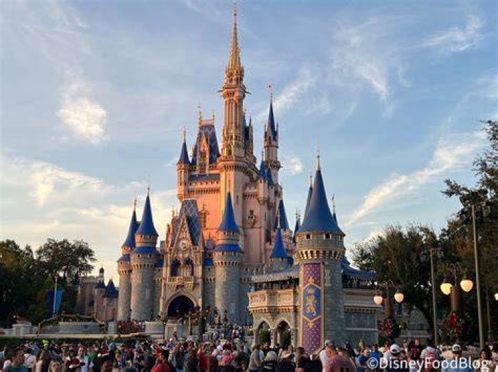 Was ist die längste Wartezeit in Disney World? – Celebrity.fm
