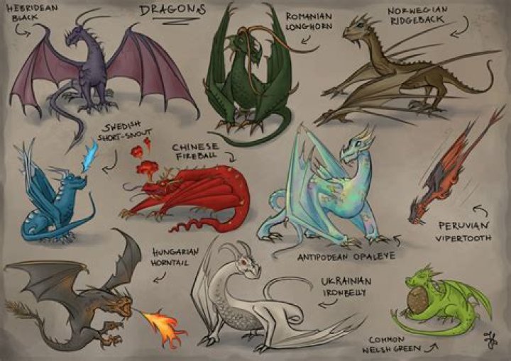 What are the 4 dragons in Harry Potter? – Celebrity.fm – #1 Official Stars, Business & People Network, Wiki, Success story, Biography & Quotes