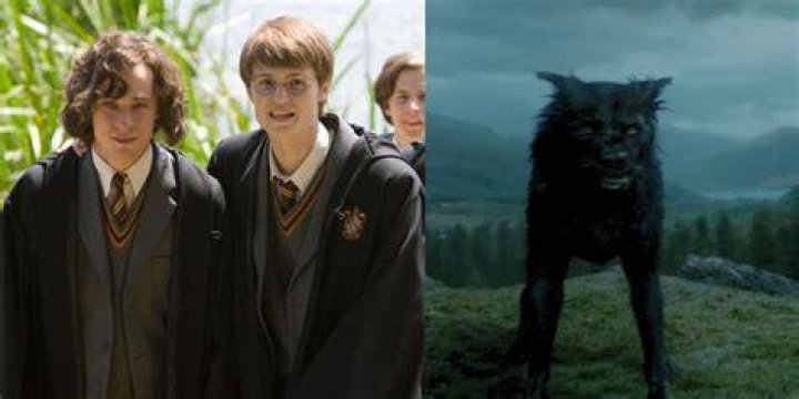 What does Harry mean when he says he’s got Padfoot?