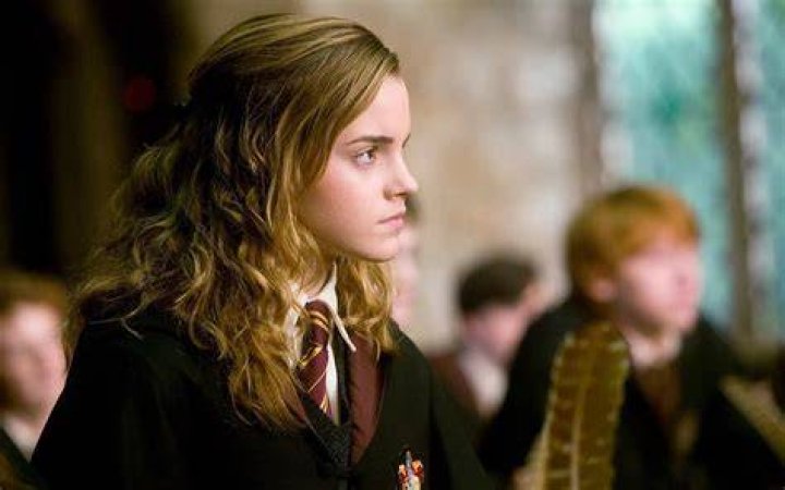What does Hermione do in the Order of the Phoenix?