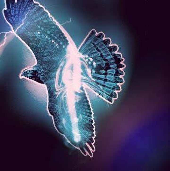 What does it mean if you have a buzzard patronus?