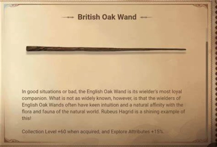 What does it mean if your wand is English oak wood?