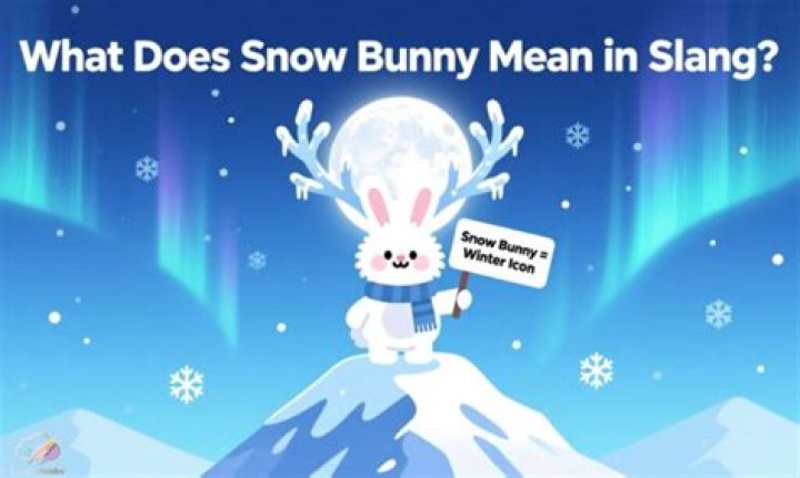 What does the slang term bunny boiler mean?