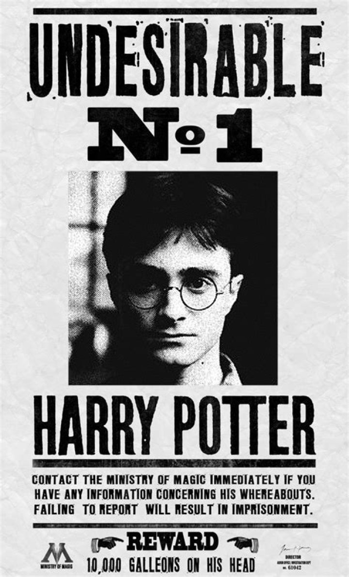 What does Undesirable No. 1 mean in Harry Potter?