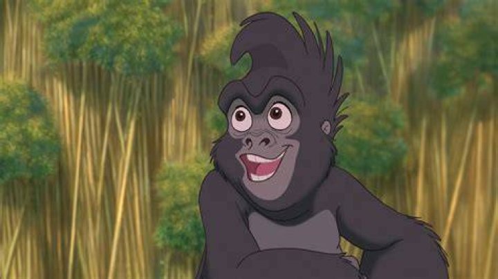 What gender is Terk From Tarzan movie? – Celebrity.fm – #1 Official Stars, Business & People Network, Wiki, Success story, Biography & Quotes