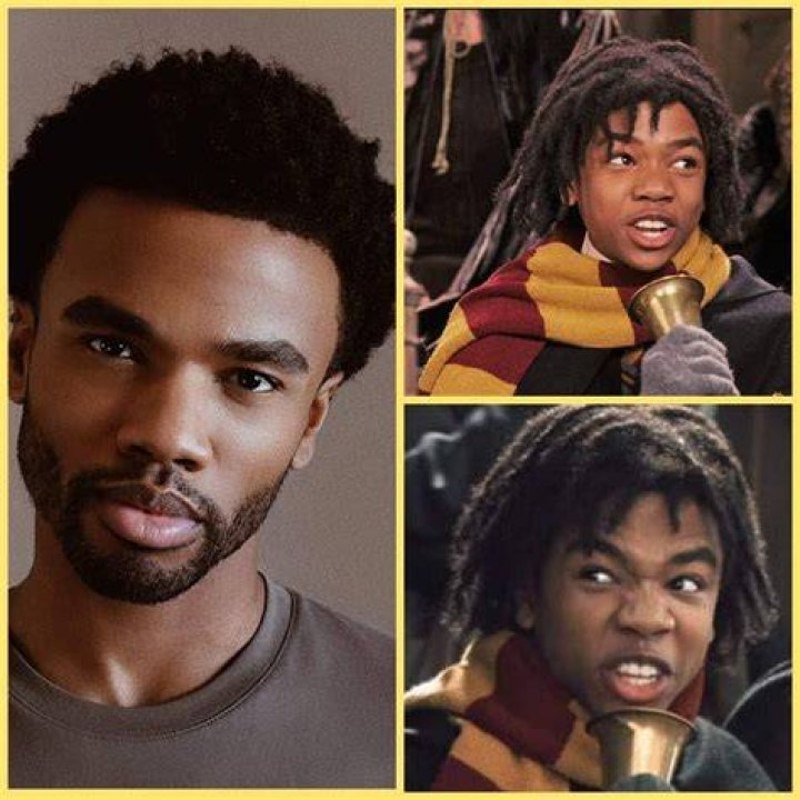 What happened to Lee Jordan in Harry Potter movies?