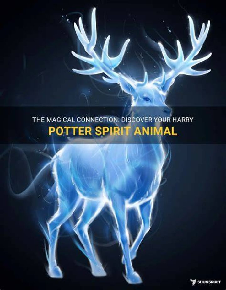 What is Harry Potter’s spirit animal? – Celebrity.fm – #1 Official Stars, Business & People Network, Wiki, Success story, Biography & Quotes