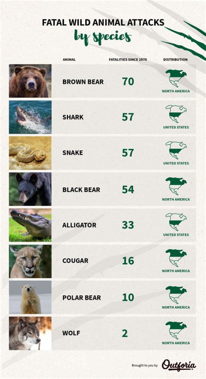 What is the most likely animal to kill you in North Carolina?