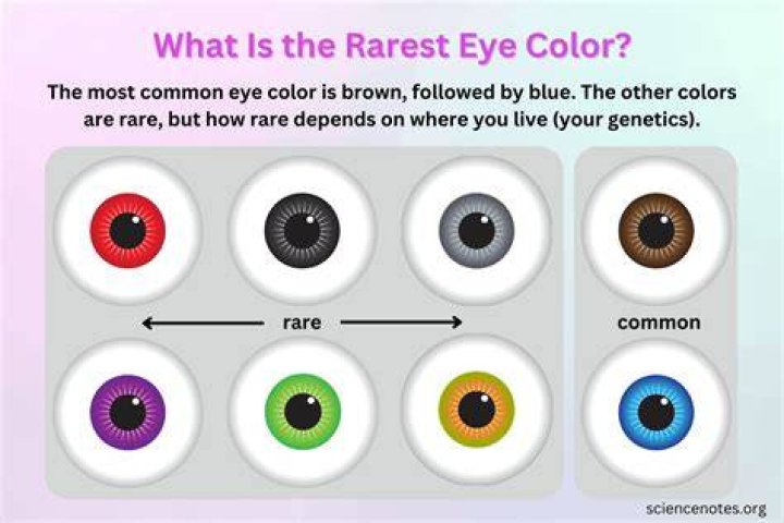 What is the rarest eye color? – Celebrity.fm – #1 Official Stars, Business & People Network, Wiki, Success story, Biography & Quotes