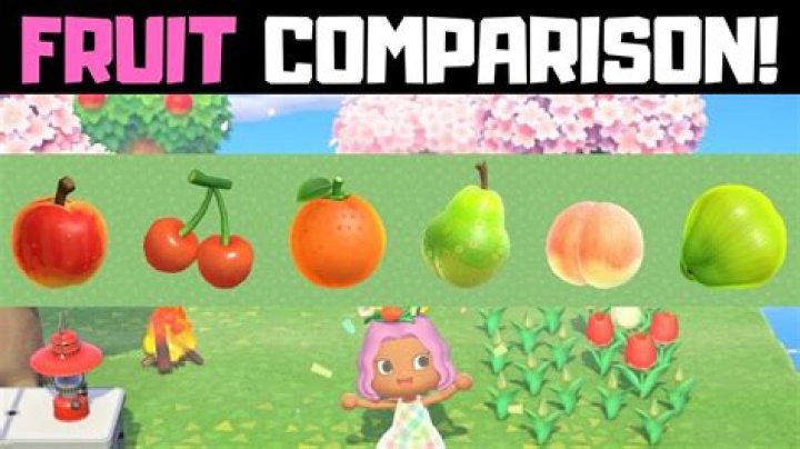 What is the rarest fruit in Animal Crossing New Horizons?