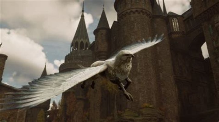 What movie is Buckbeak? – Celebrity.fm – #1 Official Stars, Business & People Network, Wiki, Success story, Biography & Quotes