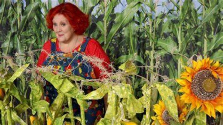 Where does Lulu Roman live now? – Celebrity.fm – #1 Official Stars, Business & People Network, Wiki, Success story, Biography & Quotes
