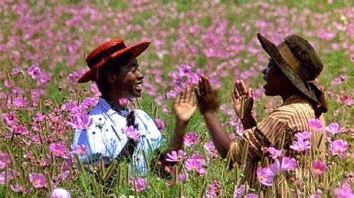 Where was The Color Purple filmed?