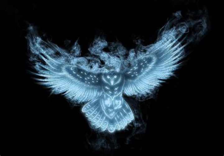 Who has a snowy owl Patronus in Harry Potter?
