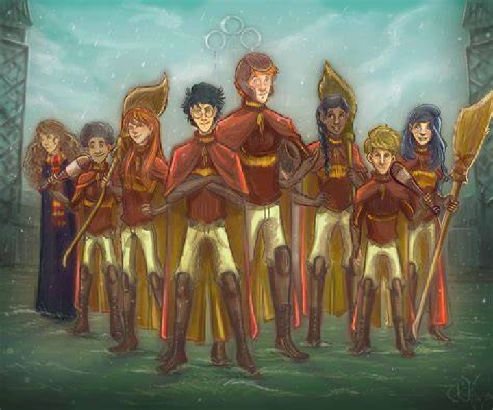 Who is in the Gryffindor Quidditch team? – Celebrity.fm – #1 Official Stars, Business & People Network, Wiki, Success story, Biography & Quotes