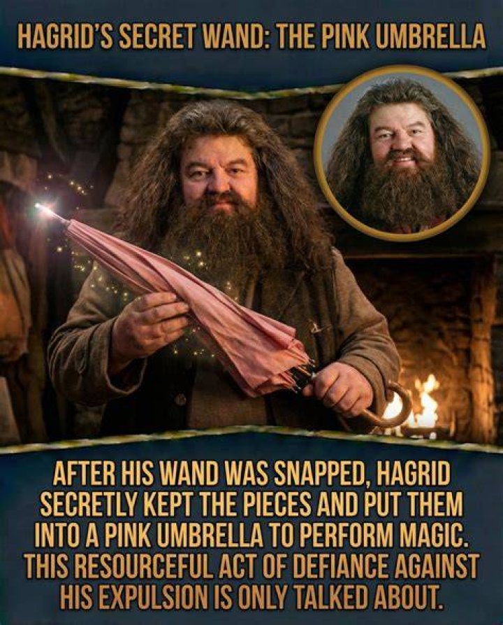 Why can’t Hagrid perform magic? – Celebrity.fm – #1 Official Stars, Business & People Network, Wiki, Success story, Biography & Quotes