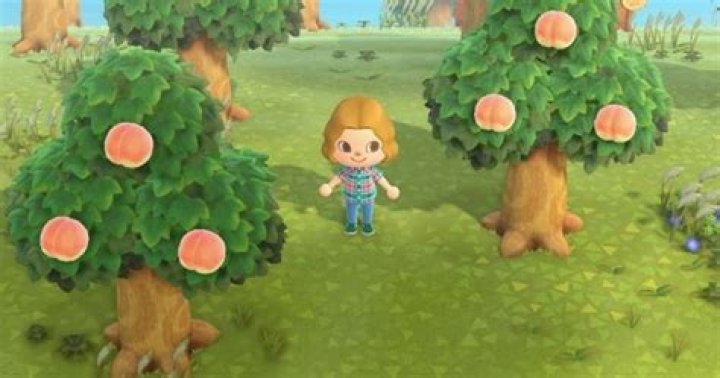 Why can’t I find peaches in Animal Crossing?