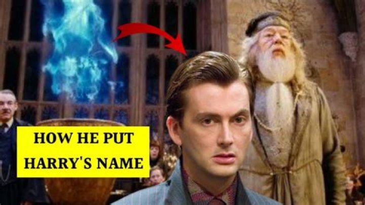 Why did Moody put Harry’s name in the goblet?