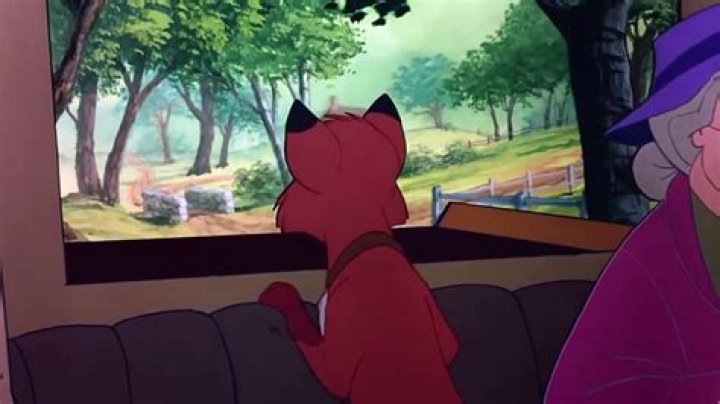 Why did Widow Tweed leaves Tod in the forest?