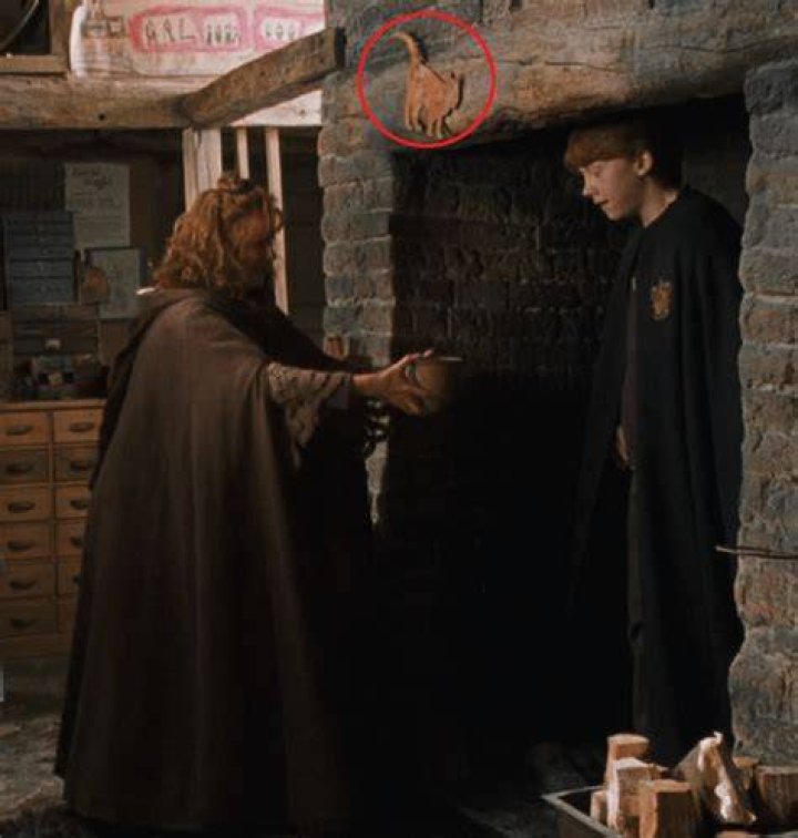 Why was Ginny’s jumper on the cat?