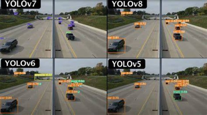YOLO
