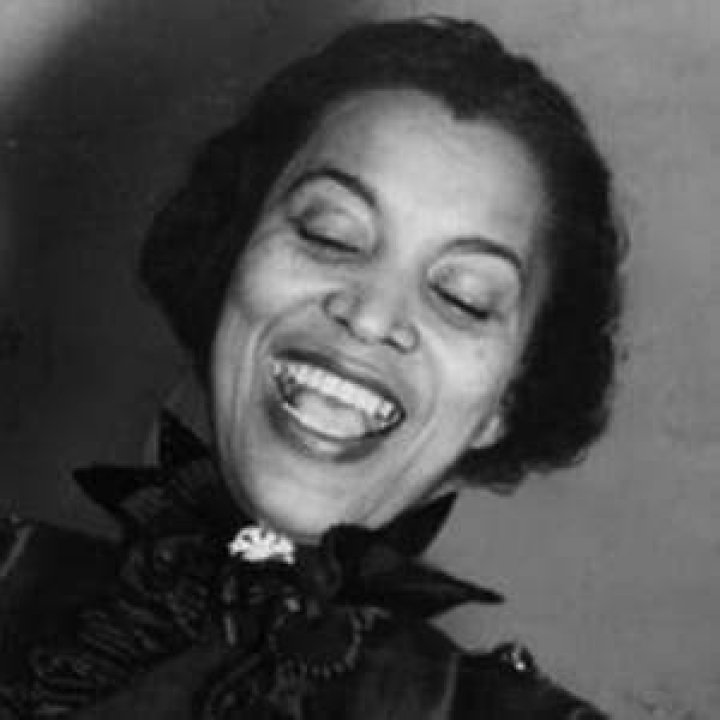 Zora Neale Hurston (Novelist) - Age, Birthday, Bio, Facts, Family, Net Worth, Height & More