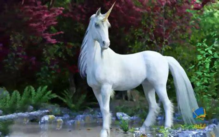آیا شاخ تک شاخ واقعی است؟